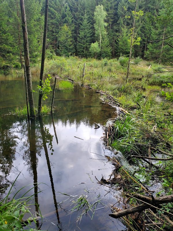 Chantier-école Savasse — ARRA²